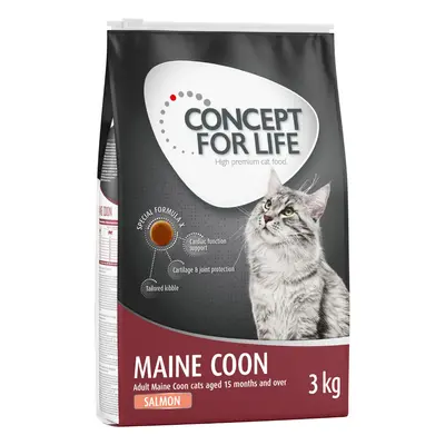 15% taniej! Concept for Life, karma sucha dla kota, 3 kg - Maine Coon Adult, łosoś - bezzbożowa 