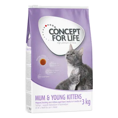 15% taniej! Concept for Life, karma sucha dla kota, 3 kg - Mum & Young Kittens