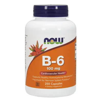 Witaminy B Now Foods B6 100mg 250kaps