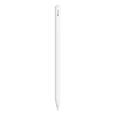 Rysik Apple Pencil 2 generacja