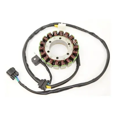 ElectroSport Stator ESG309 do alternatora