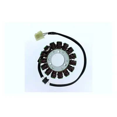 ElectroSport Stator ESG305 do alternatora