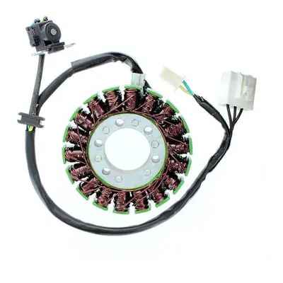 ElectroSport Stator ESG113 do alternatora