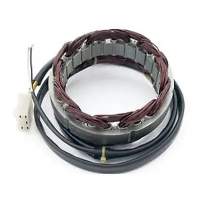 ElectroSport Stator ESG21 do alternatora