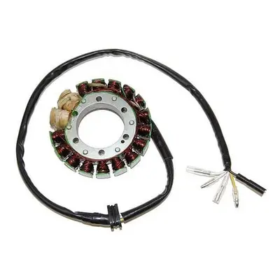 ElectroSport Stator ESG413 do alternatora