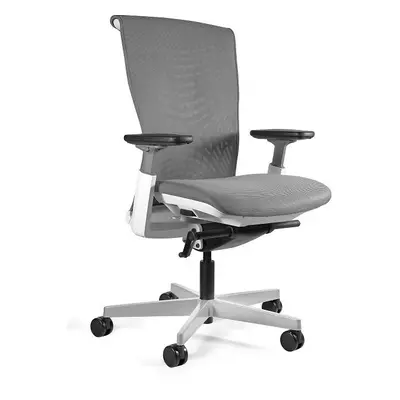 Fotel ergonomiczny, biurowy, mikrosiatka, Reya, biały, szary