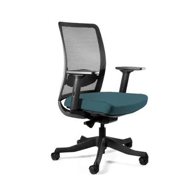 Fotel biurowy, ergonomiczny, Anggun - M, steelblue, czarny