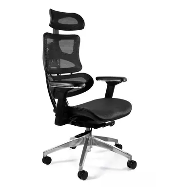 Fotel biurowy, ergonomiczny, Ergotech, czarny chrom