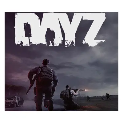 DayZ Deluxe Edition PC Steam CD Key