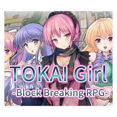 TOKAI Girl -Block Breaking RPG- PC Steam CD Key