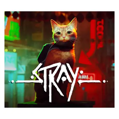 Stray EG XBOX One / Xbox Series X|S / Windows 10 CD Key