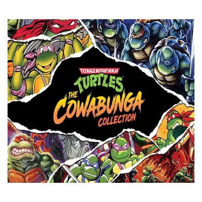 Teenage Mutant Ninja Turtles: The Cowabunga Collection US Nintendo Switch CD Key
