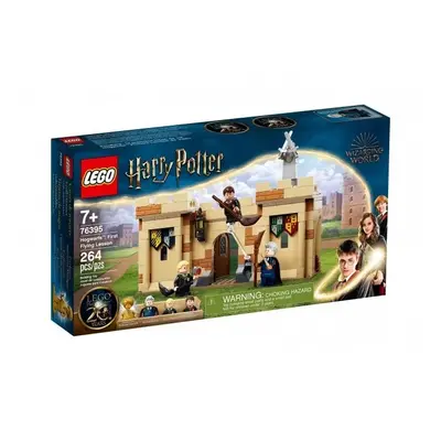 Klocki konstrukcyjne LEGO Harry Potter Hogwart: Pierwsza lekcja latania 76395