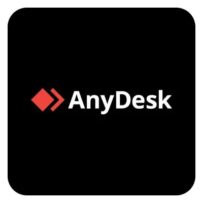 AnyDesk Solo - licencja na rok