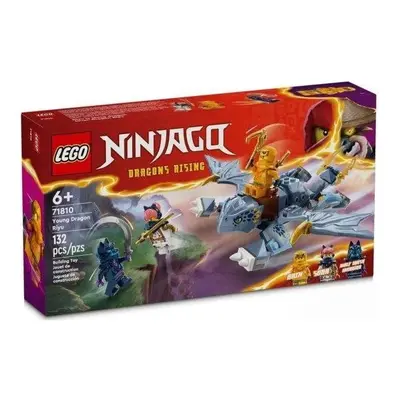 Klocki konstrukcyjne LEGO Ninjago Smoczątko Riyu