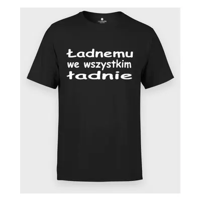 Koszulka męska Ładnemu we wszystkim ładnie