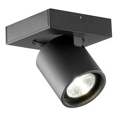 Light Point - Focus Mini 1 LED Lampa Sufitowa 2700K Black