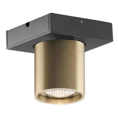 Light Point - Focus Mini 1 LED Lampa Sufitowa 3000K Brass