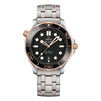 Zegarek Męski OMEGA Seamaster 210.20.42.20.01.001