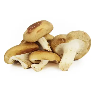 SHIITAKE ekologiczne świeże grzyby (0,20 kg) - BIO