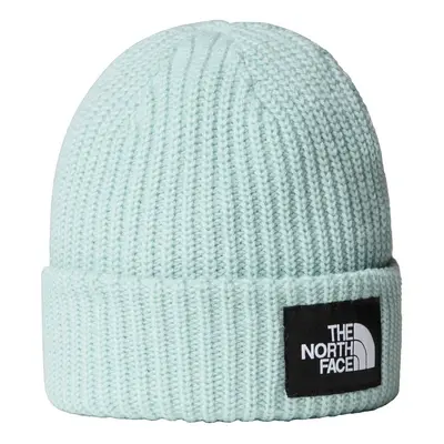 Czapka zimowa dziecięca The North Face SALTY LINED BEANIE niebieska NF0A7WG81OC