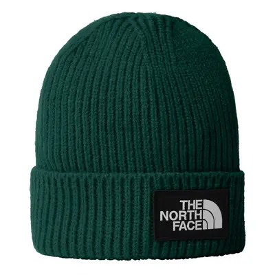 Czapka zimowa dziecięca The North Face BOX LOGO CUFFED zielona NF0A7WGCNL1