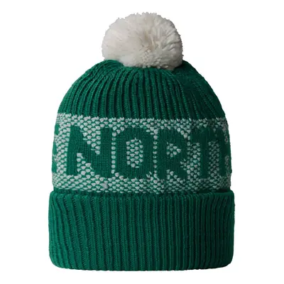 Czapka zimowa unisex The North Face RETRO CABIN BEANIE zielona NF0A88QW84O