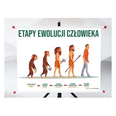 Plansza - Etapy Ewolucji Człowieka