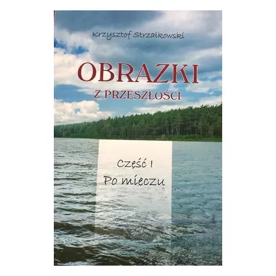 Obrazki z przeszłości T.1 Po mieczu