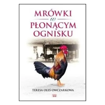 Mrówki w płonącym ognisku