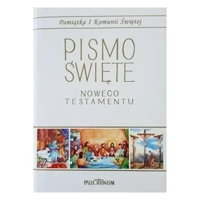 Pismo Święte - NT duże (komunia, komiks)