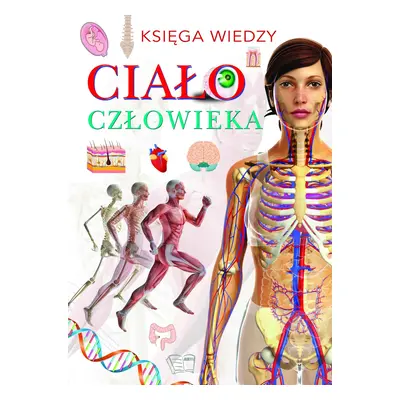 Ciało człowieka