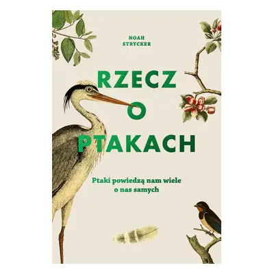 Rzecz o ptakach