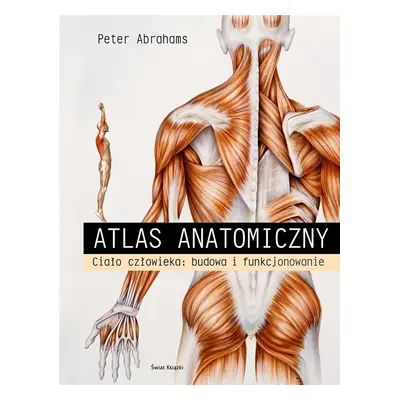 Atlas anatomiczny. Ciało człowieka: budowa..