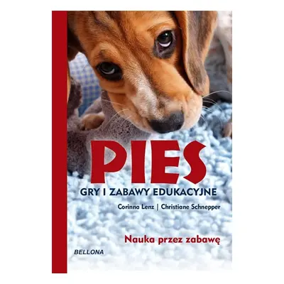 Pies. Gry i zabawy edukacyjne