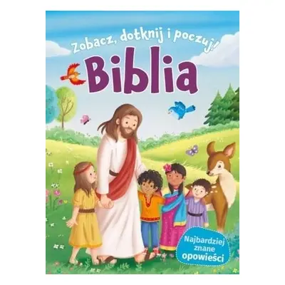 Biblia. Zobacz, dotknij, poczuj!