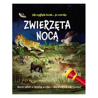 Zwierzęta nocą. Nocne safari z latarką w ręku