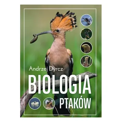 Biologia ptaków