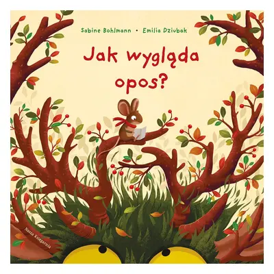 Jak wygląda opos?