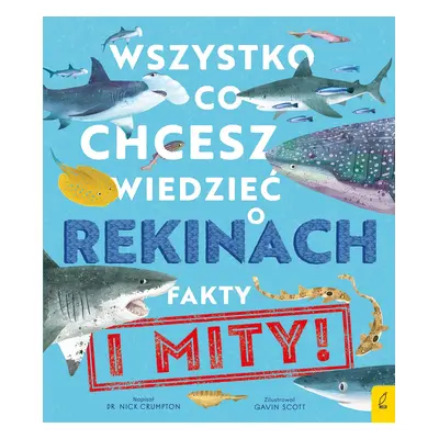 Wszystko, co chcesz wiedzieć o rekinach. Fakty i mity