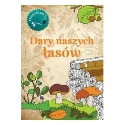 Dary naszych lasów Kolorowanka