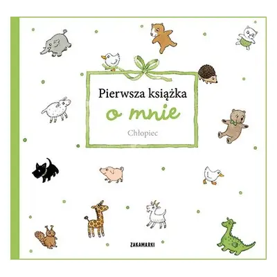 Chłopiec. Pierwsza książka o mnie