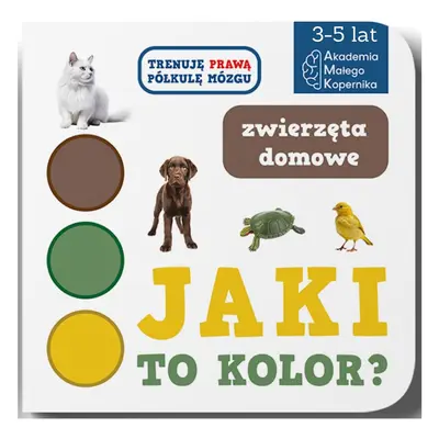 Jaki to kolor? Zwierzeta domowe