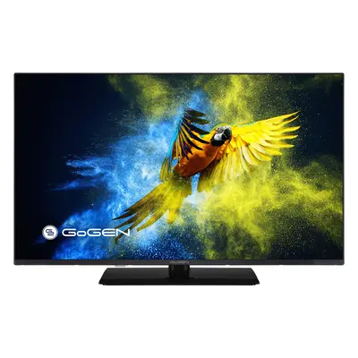 Telewizor Gogen 43” TVF43M340STWEB DVB-T2 tryb hotelowy