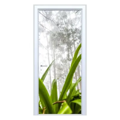 Okleina na drzwi las 310s