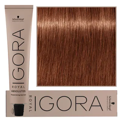 Schwarzkopf Professional Igora Royal Absolutes - trwała farba do włosów z kolagenem, 60ml 7-560 