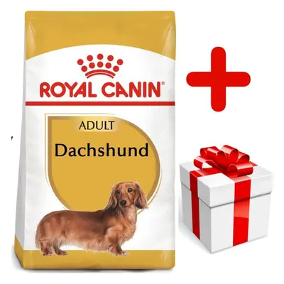 Royal Canin ROYAL CANIN Dachshund 7,5kg karma sucha dla psów dorosłych rasy jamnik + niespodzian