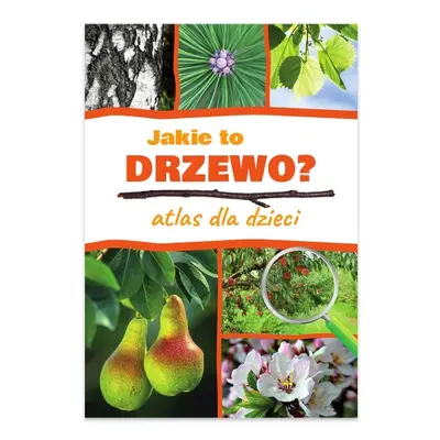 Jakie to drzewo? Atlas dla dzieci