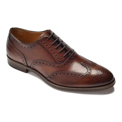 Eleganckie brązowe skórzane buty męskie typu brogue VAN THORN 41,5