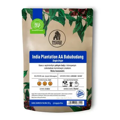 Kawa India Plantation AA Bababudang 1000g